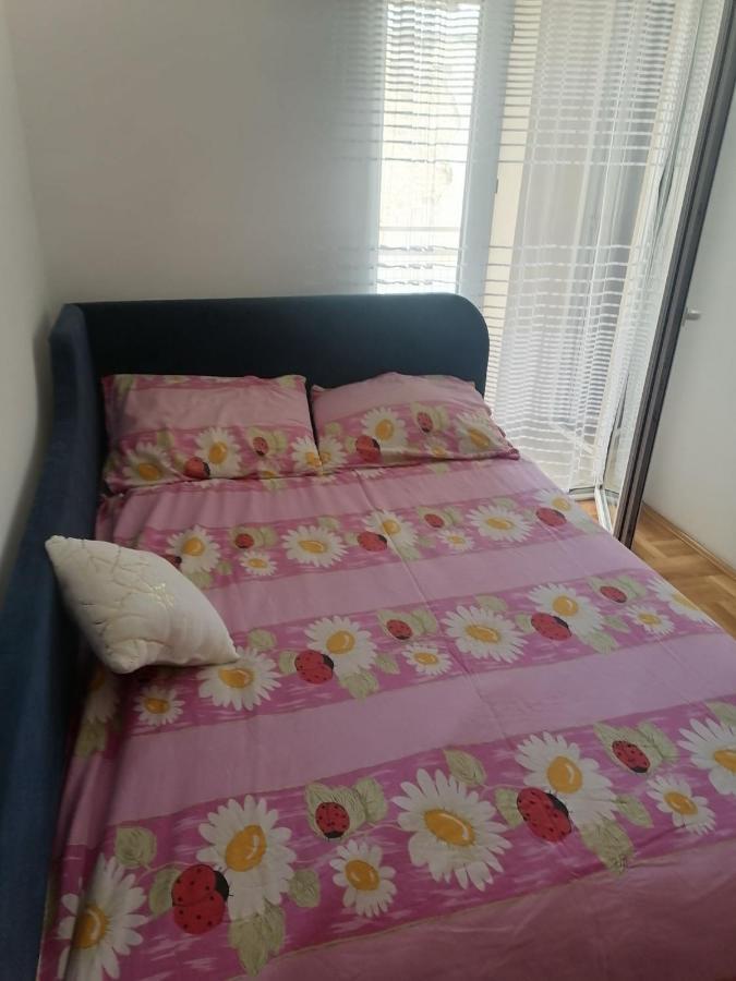 Centar S Apartment Nis Exterior photo